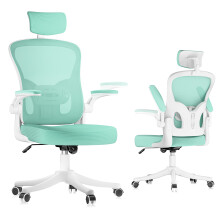 (Grün)Ergonomischer Bürostuhl mit Kopfstütze & Lendenstütze