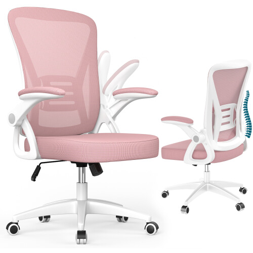 Sedia da Ufficio con Braccioli Pieghevoli Ergonomica 1