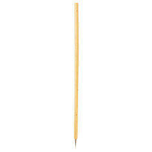 1St Für Chinesische Kalligraphie Bambus Feder