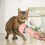 strip squeeze met klauwvorm kattensnacks - voedingstool 4