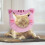 Cat Protective Collar Adjustable Pp Cotton Pink 1pack 6