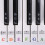 1set Beginner Piano Keyboard Stickers Adhesive 8
