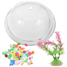 Wall Bowl Decorative Planter Birthday Decoration