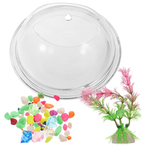 Wall Bowl Decorative Planter Birthday Decoration