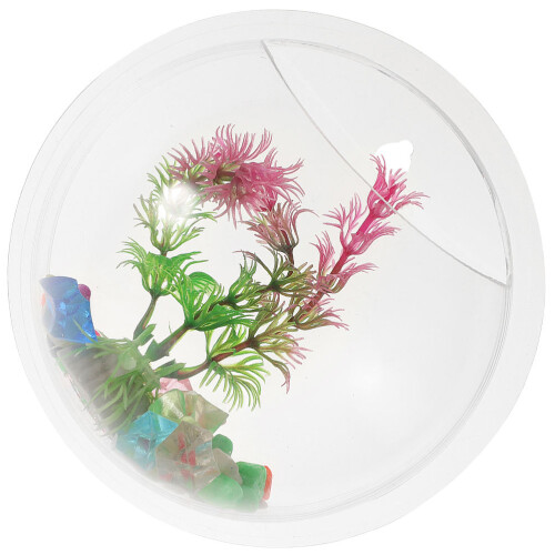 Wall Bowl Decorative Planter Birthday Decoration 2