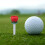 6Pièces Accessoires Golf Rouge Tees Plastique Forme Rose Solide 8