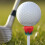 6Pièces Accessoires Golf Rouge Tees Plastique Forme Rose Solide 7