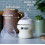 Tommee Tippee Tommee Tippee Closer to Nature Newborn Set 3