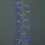 12.4m 960 LED Christmas Cluster Multi-Action String Lights with Timer in Blue, Purple & White on Clear Cable 6