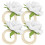 4Pcs White Artificial Rose Napkin Rings Wedding Dining Table Decor 5