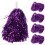 16 Cheerleader Pompons -Handblumen 2