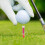 Claw Shaped Golfs-Tees, Ballablagen Und Halter 3