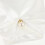 Kurze Satin Mit Perlenanhänger Für Hochzeit Abend 7