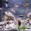 1 Aquarium Kies Kristallsteine Für 9