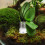 Station D'eau Pour Fourmis En Usage Prolongé 10
