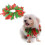 Christmas Halsband Für Größe S 4