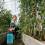 1 . 5 L Gartenspritze Blau Mit Unterlage 4