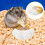 Keramik Futter Schale Für Hamster Und Chinchilla 5