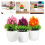 3Pcs Plastic Simulation Potted Plants Assorted Color Decorative Bonsai 5