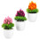 3Pcs Plastic Simulation Potted Plants Assorted Color Decorative Bonsai 4