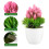 3Pcs Plastic Simulation Potted Plants Assorted Color Decorative Bonsai 6