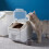 1St Pet Food Container Verschließbar Luftdicht Für 9