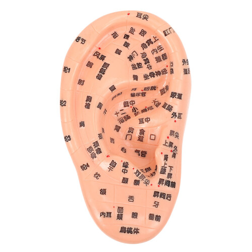 1St Human Ear Akupunktur Ohr (Schokoladenfarben)