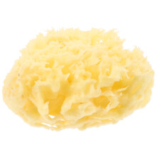 Sponge Babybad Bienenwaben Für Sanftes Peeling Und
