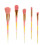 5Stk Rosa Haar-Make-up- Set Kegelförmig Transparenter 1