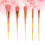 5Stk Rosa Haar-Make-up- Set Kegelförmig Transparenter 5