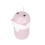 Form Zahnstocher Box Kunststoff Spender Pink 4