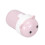 Form Zahnstocher Box Kunststoff Spender Pink 5