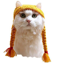 Braid Knitting Katzenhut Wollgarn Für Kätzchen Haustier