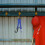 Baseball Softball Ausrüstungshalter Mit Handschuhklemme Helmhaken 5