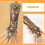 2Stk Vintage Spitzenhandschuhe Finger Mit Perlen Ring 8