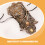 2Stk Vintage Spitzenhandschuhe Finger Mit Perlen Ring 9