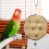 Kauwspeeltje Hangend Vogelkooi Accessoire 8