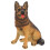 Simulation Hundemodell • Lebensechtes Falsches Tiermodell 8