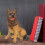 Simulation Hundemodell • Lebensechtes Falsches Tiermodell 5