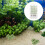 28Pcs Mini Sand Table Plants For Micro Garden Decoration 6