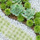 28Pcs Mini Sand Table Plants For Micro Garden Decoration 9