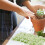 28Pcs Mini Sand Table Plants For Micro Garden Decoration 3