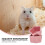 2Pièces Bols Céramique Rose Petits Animaux Durable Facile À 7