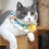 Breathable Wool Knitted Pet Collar with Adjustable Rope, 30cm 3