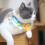 Breathable Wool Knitted Pet Collar with Adjustable Rope, 30cm 4