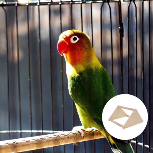1St Triangular Bird Stand Shelf Stevig Rek Papegaaien 2