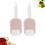 2 Sets Rice Spoon With Holder And Cover Kitchen Tool Pink 7