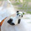 4 Keramik Panda Essstäbchenhalter, +Weiß 9