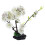 4 stk sushi teller blumen servierplatte 1