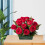 2 blumenarrangement- mit schale, hängender halter 9